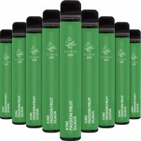 ELFBAR 600 – Kiwi Passionfruit Guava – 10er Display